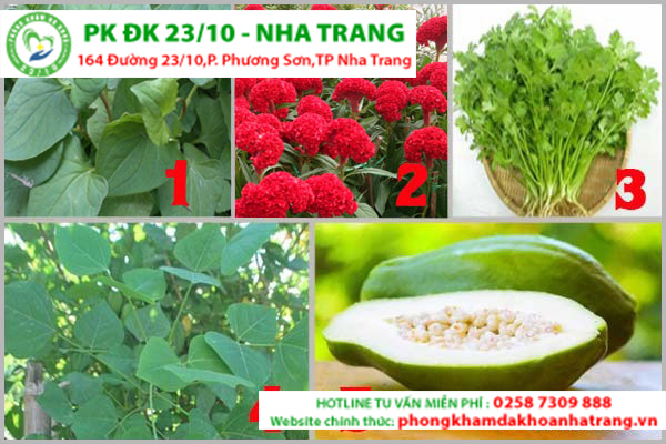 Cách dân gian giúp trị bệnh trĩ tại nhà hiện nay