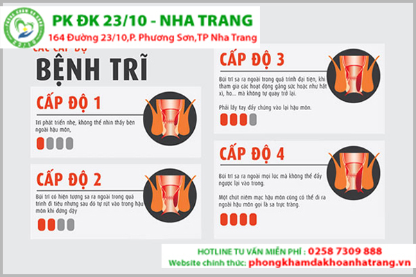 Bệnh trĩ và những điều cần biết