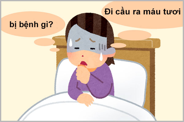 ĐI CẦU RA MÁU TƯƠI LÀ BỊ BỆNH GÌ?